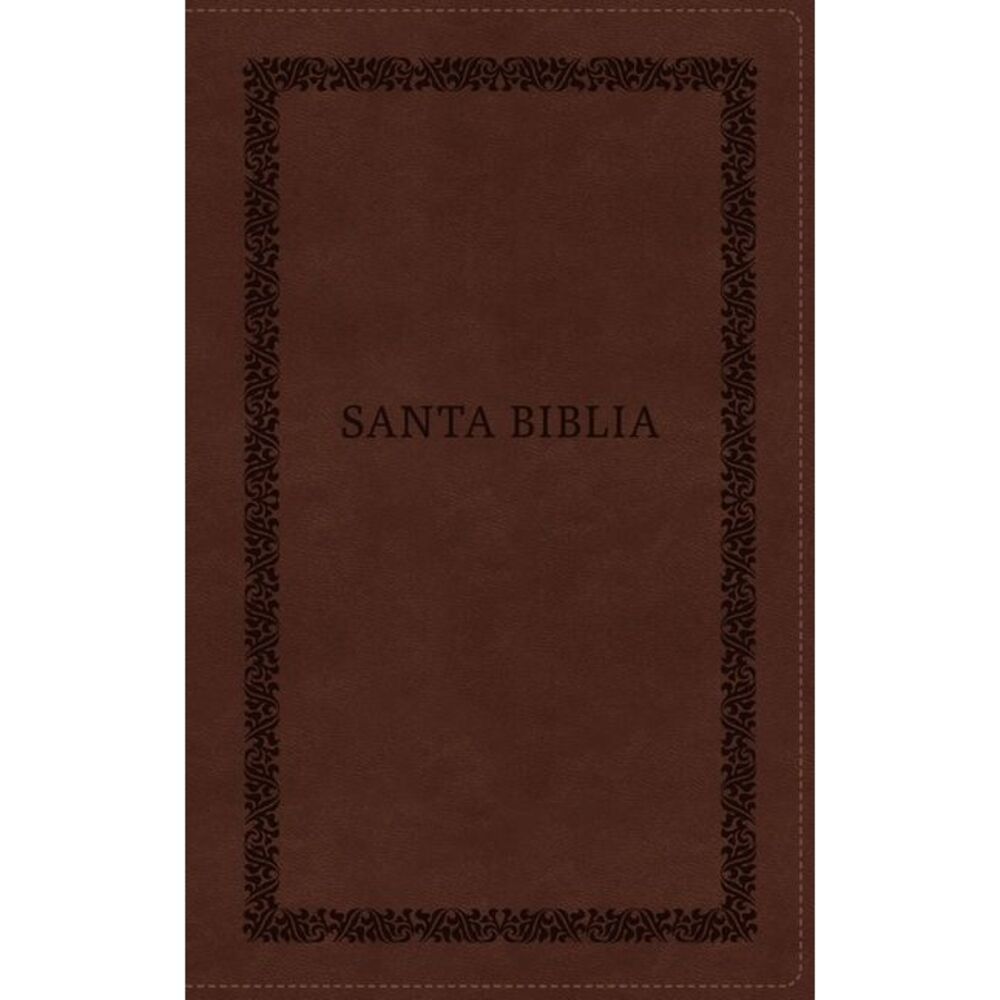 Rvr60, Santa Biblia, Tierra Santa, Letra Grande, Leathersoft, Café, Con Cierre,